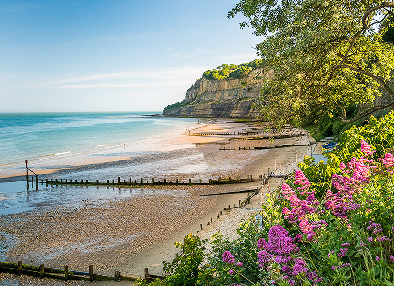 Shanklin Beach