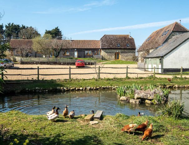 Duck pond with secure fenced area and locked gate