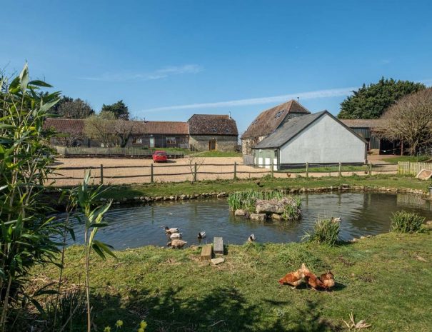 Duck pond looking towards the cottages. Pond area is fenced.