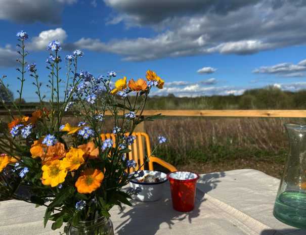 F0DAD978-11D5-47B8-A99D-F2A3D882F337 2