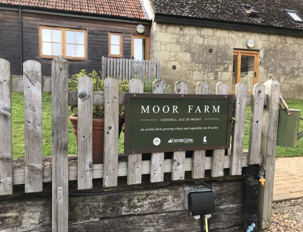 Electric point for car plug in