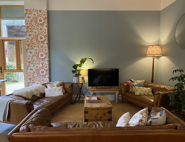 Living Room smart TV