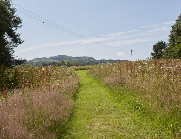 Path to the football pitch