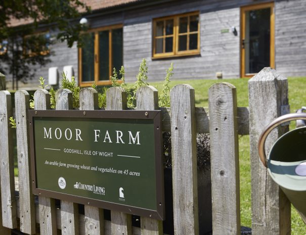 Help yourself to fresh herbs.