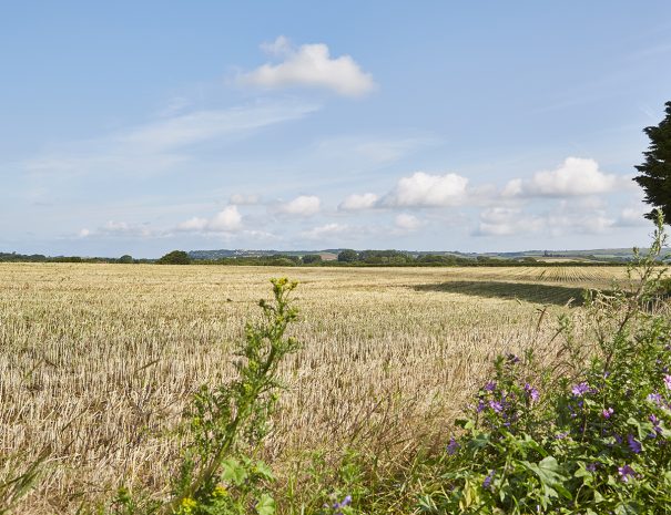 View accross the fields