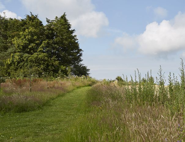Mown footpaths through the fields