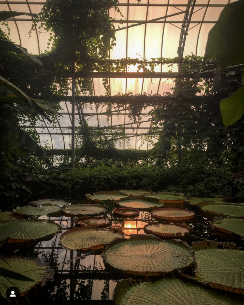 Screen Shot 2020-10-28 at 20.06.49